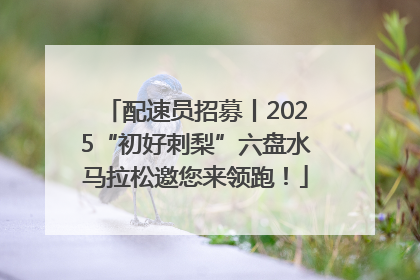 配速员招募丨2025“初好刺梨”六盘水马拉松邀您来领跑！
