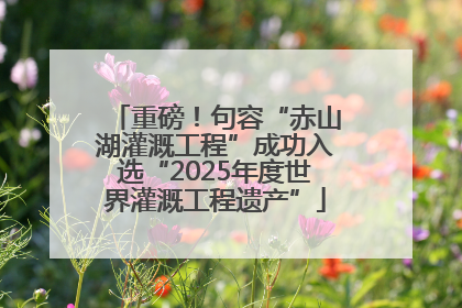 重磅！句容“赤山湖灌溉工程”成功入选“2025年度世界灌溉工程遗产”