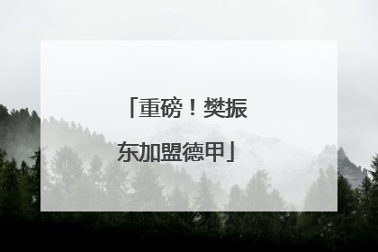 重磅！樊振东加盟德甲
