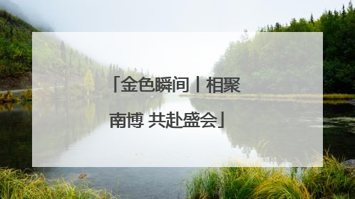 金色瞬间丨相聚南博 共赴盛会