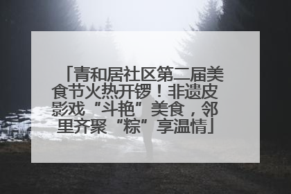 青和居社区第二届美食节火热开锣！非遗皮影戏“斗艳”美食，邻里齐聚“粽”享温情