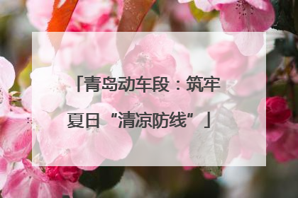 青岛动车段：筑牢夏日“清凉防线”