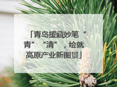 青岛援藏妙笔“青”“清”，绘就高原产业新图景