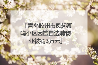 青岛胶州市凤起潮鸣小区因擅自选聘物业被罚3万元
