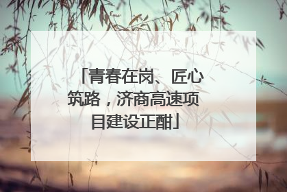 青春在岗、匠心筑路，济商高速项目建设正酣