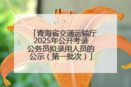 青海省交通运输厅2025年公开考录公务员拟录用人员的公示（第一批次）