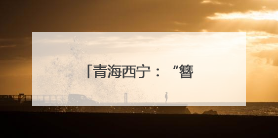 青海西宁：“簪花”公交车站扮靓城市“颜值”