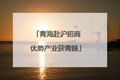 青海赴沪招商 优势产业获青睐