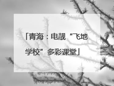 青海：电靓“飞地学校”多彩课堂