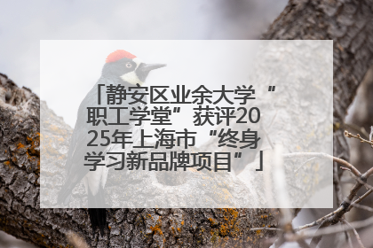 静安区业余大学“职工学堂”获评2025年上海市“终身学习新品牌项目”
