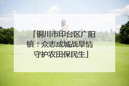 铜川市印台区广阳镇：众志成城战旱情 守护农田保民生