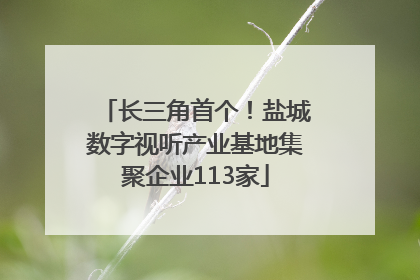 长三角首个！盐城数字视听产业基地集聚企业113家