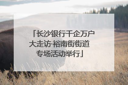 长沙银行千企万户大走访·裕南街街道专场活动举行