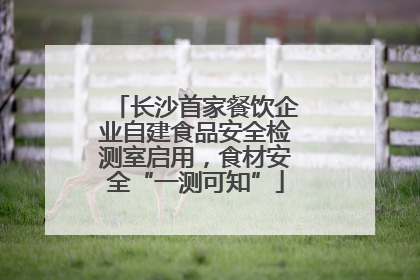 长沙首家餐饮企业自建食品安全检测室启用，食材安全“一测可知”