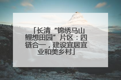 长清“锦绣马山 鲤想田园”片区：四链合一，建设宜居宜业和美乡村