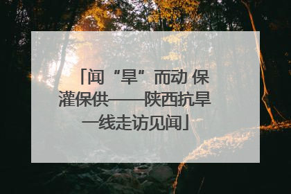 闻“旱”而动 保灌保供——陕西抗旱一线走访见闻