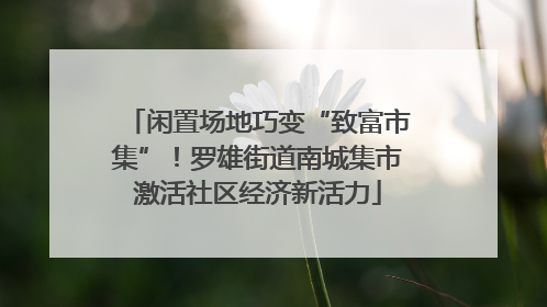 闲置场地巧变“致富市集”！罗雄街道南城集市激活社区经济新活力