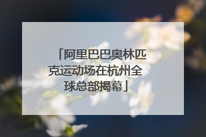 阿里巴巴奥林匹克运动场在杭州全球总部揭幕