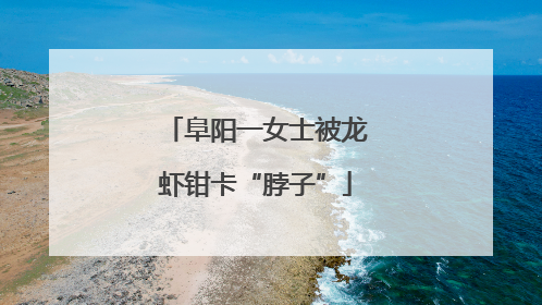 阜阳一女士被龙虾钳卡“脖子”