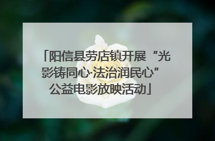 阳信县劳店镇开展“光影铸同心·法治润民心”公益电影放映活动