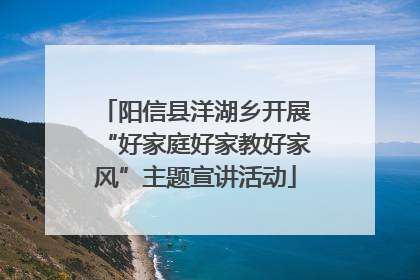 阳信县洋湖乡开展“好家庭好家教好家风”主题宣讲活动
