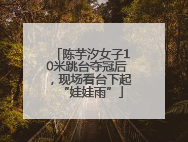 陈芋汐女子10米跳台夺冠后，现场看台下起“娃娃雨”