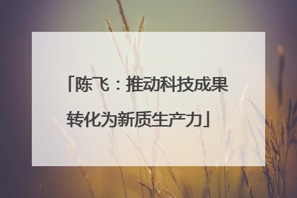 陈飞：推动科技成果转化为新质生产力