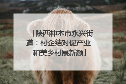 陕西神木市永兴街道：村企结对促产业 和美乡村展新颜