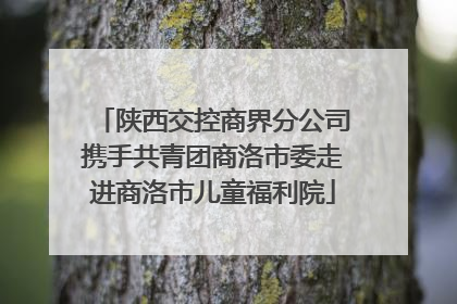 陕西交控商界分公司携手共青团商洛市委走进商洛市儿童福利院
