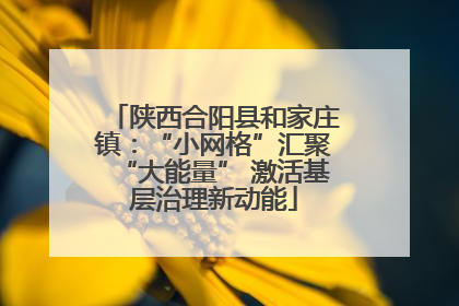 陕西合阳县和家庄镇：“小网格”汇聚“大能量” 激活基层治理新动能