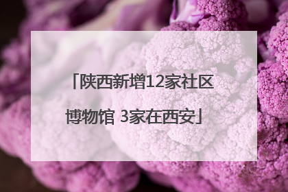 陕西新增12家社区博物馆 3家在西安