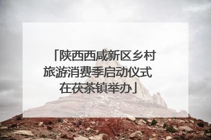 陕西西咸新区乡村旅游消费季启动仪式在茯茶镇举办