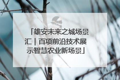 雄安未来之城场景汇｜百项前沿技术展示智慧农业新场景