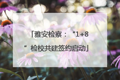 雅安检察：“1+8”检校共建签约启动