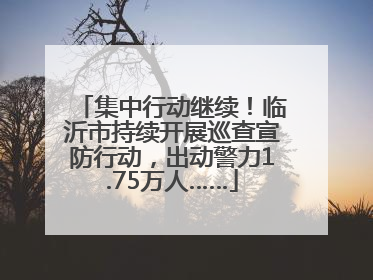 集中行动继续！临沂市持续开展巡查宣防行动，出动警力1.75万人……