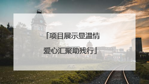 项目展示显温情 爱心汇聚助残行