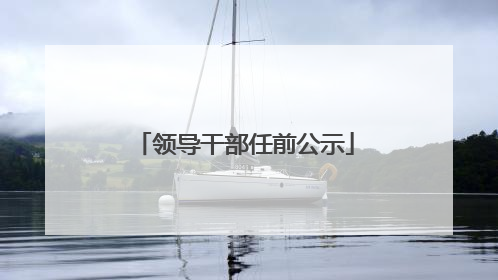 领导干部任前公示