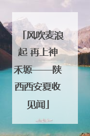 风吹麦浪起 再上神禾塬——陕西西安夏收见闻