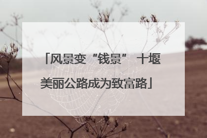 风景变“钱景” 十堰美丽公路成为致富路