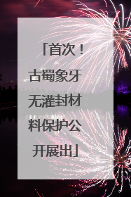 首次！古蜀象牙无灌封材料保护公开展出