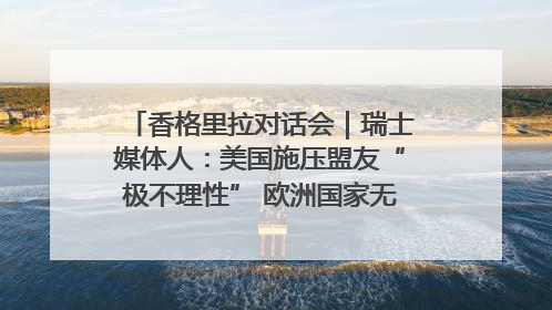 香格里拉对话会｜瑞士媒体人：美国施压盟友“极不理性” 欧洲国家无意与中国“脱钩断链”