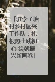 驻李子塘村乡村振兴工作队：扎根热土践初心 绘就振兴新画卷