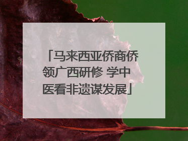 马来西亚侨商侨领广西研修 学中医看非遗谋发展