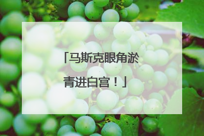 马斯克眼角淤青进白宫！