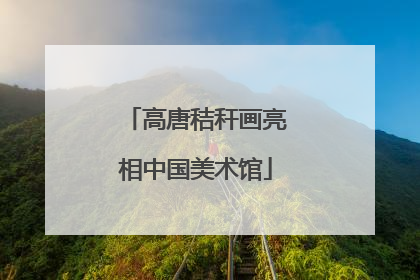 高唐秸秆画亮相中国美术馆