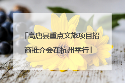 高唐县重点文旅项目招商推介会在杭州举行