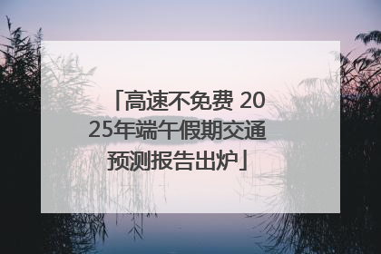 高速不免费 2025年端午假期交通预测报告出炉