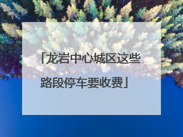 龙岩中心城区这些路段停车要收费
