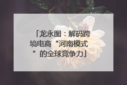 龙永图：解码跨境电商“河南模式”的全球竞争力