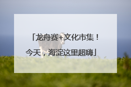 龙舟赛+文化市集！今天，海淀这里超嗨